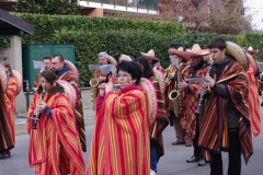 2011_carnevale_07