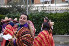 2011_carnevale_09