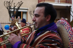 2011_carnevale_11