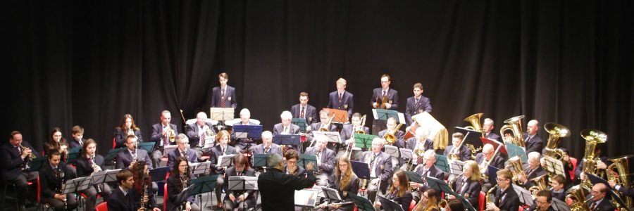 Il Maestro Fulvio Creux incanta la platea del Civico